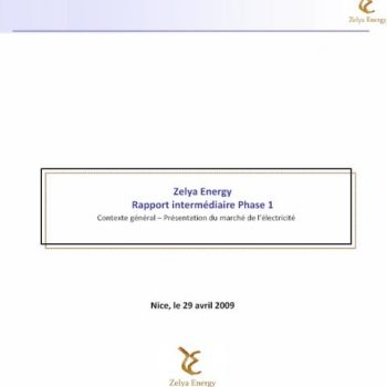 Rapport Zelya Energie Phase 1