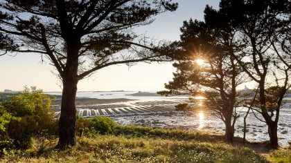 Découvrez notre cartographie des accès à la mer en Finistère